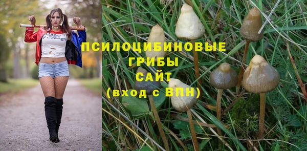 МДПВ Абинск