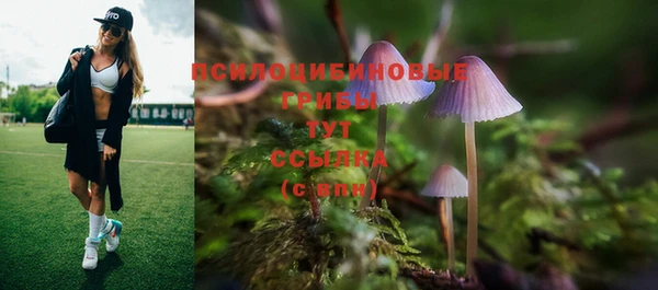 МДПВ Абинск