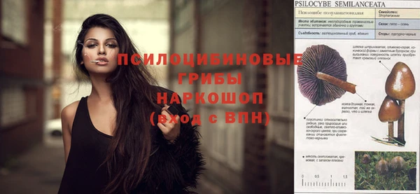 МДПВ Абинск