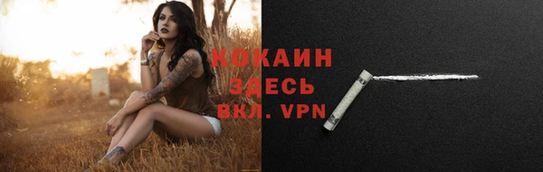МДПВ Абинск
