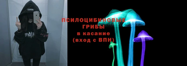 трава Алзамай